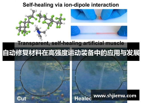 自动修复材料在高强度运动装备中的应用与发展